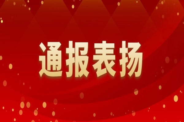 關(guān)于表揚(yáng)2022年履職盡責(zé)優(yōu)秀個(gè)人的通報(bào)